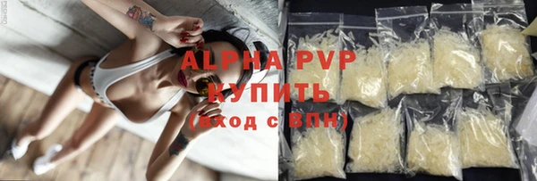 шишки Надым
