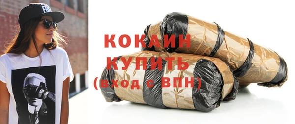 шишки Надым