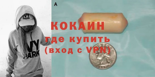 шишки Надым