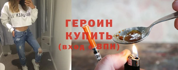 шишки Надым