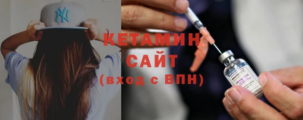 шишки Надым