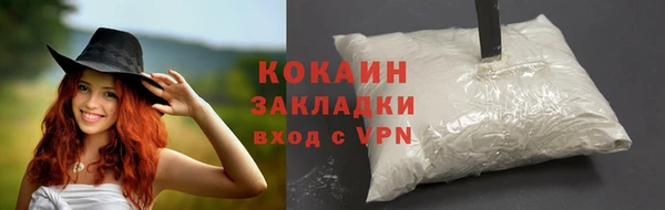 шишки Надым
