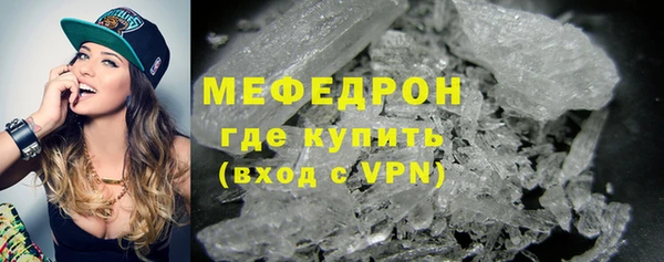 шишки Надым