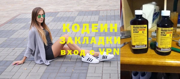 шишки Надым