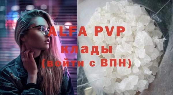шишки Надым