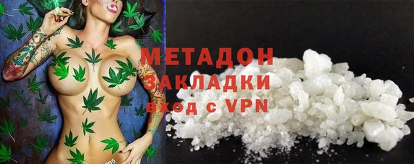 шишки Надым