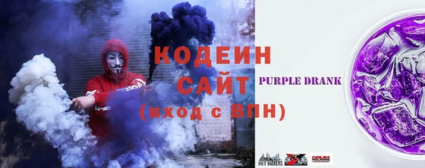 шишки Надым
