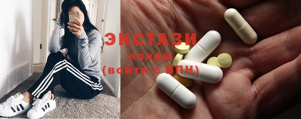 шишки Надым