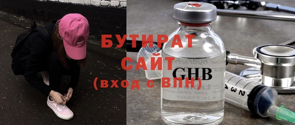 шишки Надым