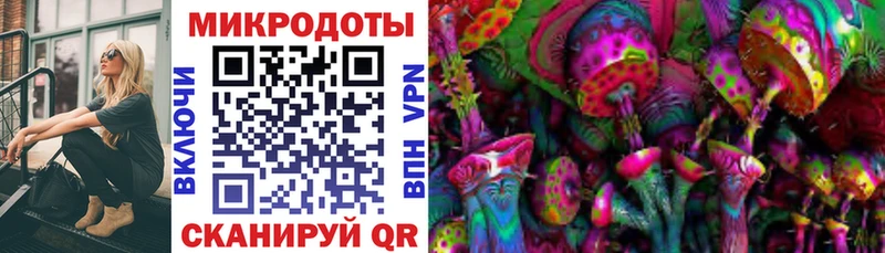 где купить   Клинцы  Псилоцибиновые грибы MAGIC MUSHROOMS 