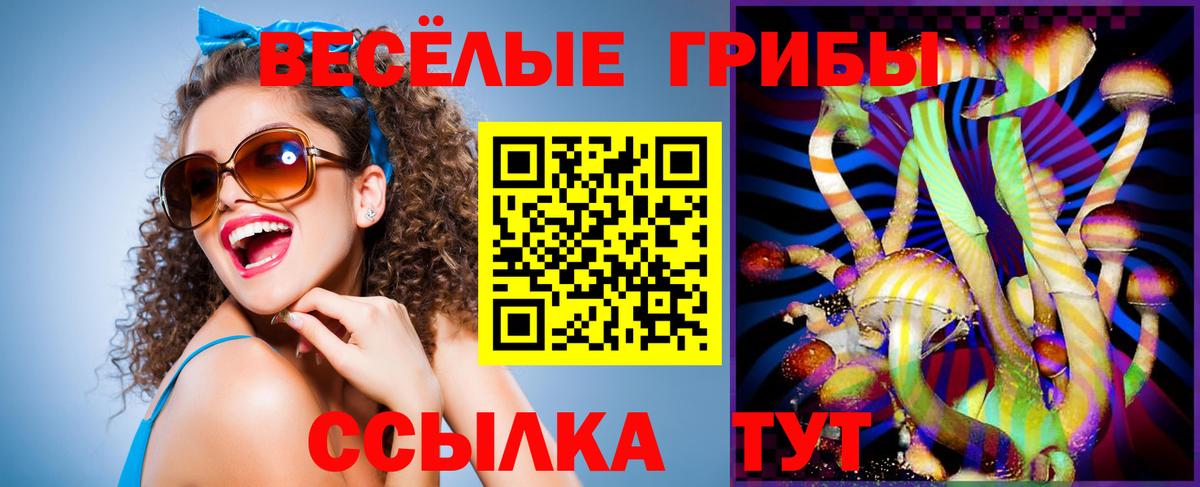 Клинцы  Псилоцибиновые грибы Cubensis  Галлюциногенные грибы ЛСД  Вход с VPN 