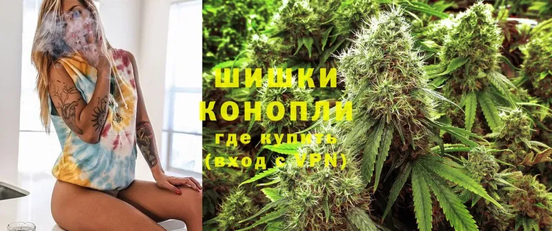 Шишки марихуана SATIVA & INDICA  mega вход  Клинцы  где купить наркоту 