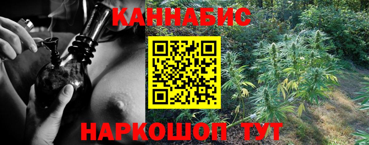 Конопля White Widow  Клинцы  Конопля планчик  Бошки марихуана тримм  Конопля White Widow 